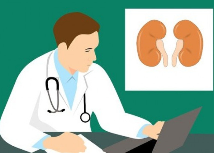Simak, Begini Cara Memperbaiki Fungsi Ginjal