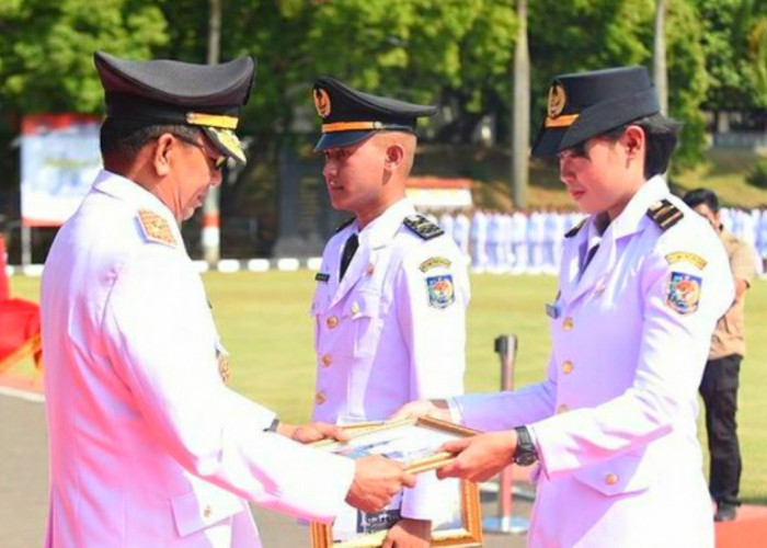 Referensi Perguruan Tinggi 2024, Ini Daftar 10 Sekolah Kedinasan Terketat 