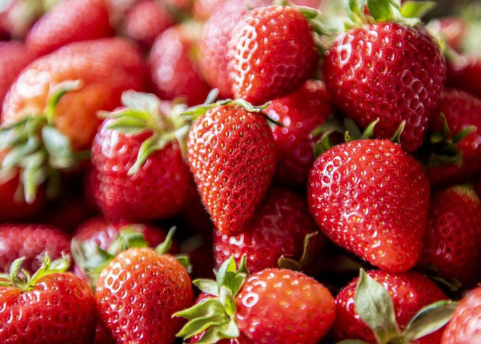 Jangan Lewatkan, 4 Buah Tinggi Kalium yang Baik untuk Mencegah Lansia Terkena Osteoporosis