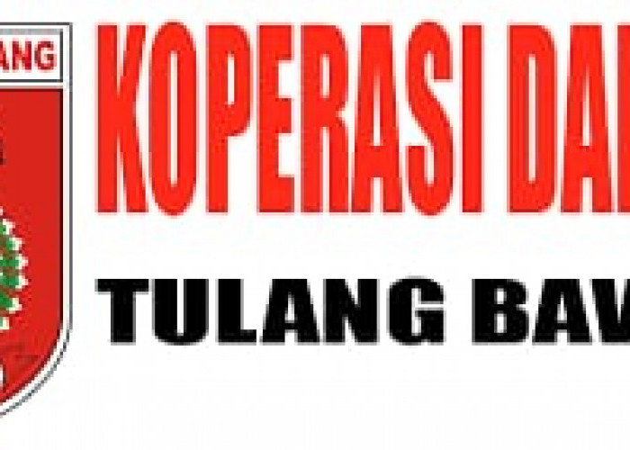 223 Koperasi Tercatat di Tulang Bawang, Sektor Jasa Keuangan dan Asuransi Paling Banyak
