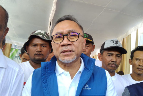 Harga Sawit Anjlok, Mendag Zulhas Beri Saran Begini