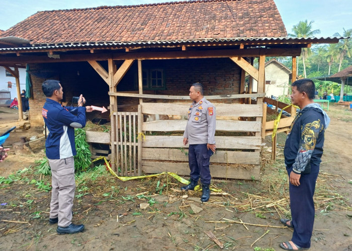 Dor! Kawanan Pencuri Kambing Tembak Korban Hingga Tewas