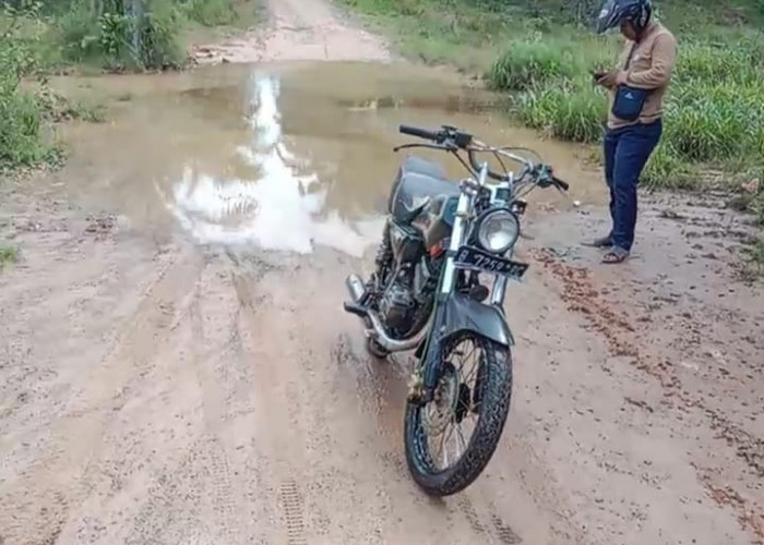  Kabar Baik, Ruas Jalan Menuju Dusun Talang Gunung Mesuji Akan Dibangun