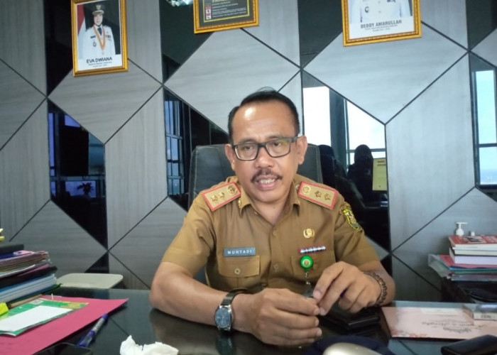 5 Kecamatan yang Paling Banyak NIB, Pemkot Bandar Lampung Terbitkan Belasan Ribu NIB 