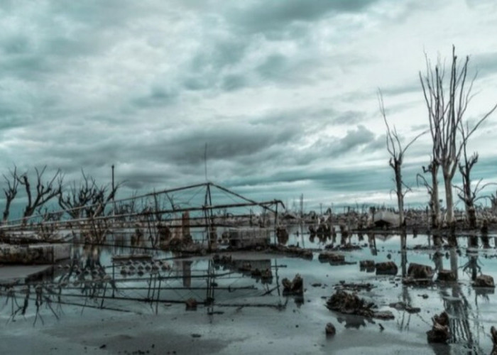 Termasuk Lampung, Ini Daftar Wilayah Pesisir yang Berpotensi Terkena Banjir ROB