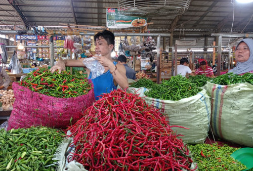 Warga Menjerit, Harga Bahan Pokok Cabai dan Bawang di Tubaba Meningkat