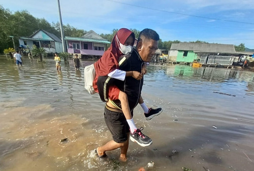 Untuk Warga Pesisir Pesawaran, Waspada Banjir Rob! 