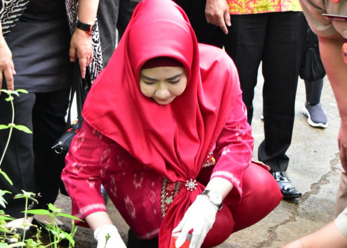 Bupati dan Kantor Pertanahan Tanggamus Pasang Patok Tanda Batas Bersamaan Dengan Pencanangan  Gemapatas 