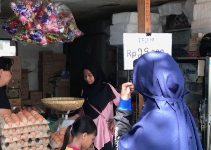 Meski Harganya Masih Mahal, Disdag Klaim Stok Telur Aman 