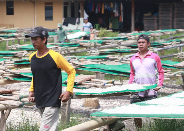 PENJUAL IKAN TERI