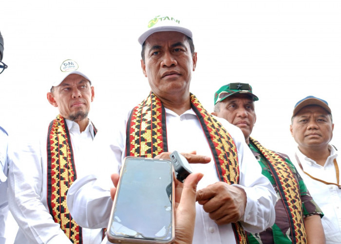 Mentan Panggil Perusahaan Hingga Petani untuk Bahas Harga Singkong di Lampung, PPUKI Tak Diundang?