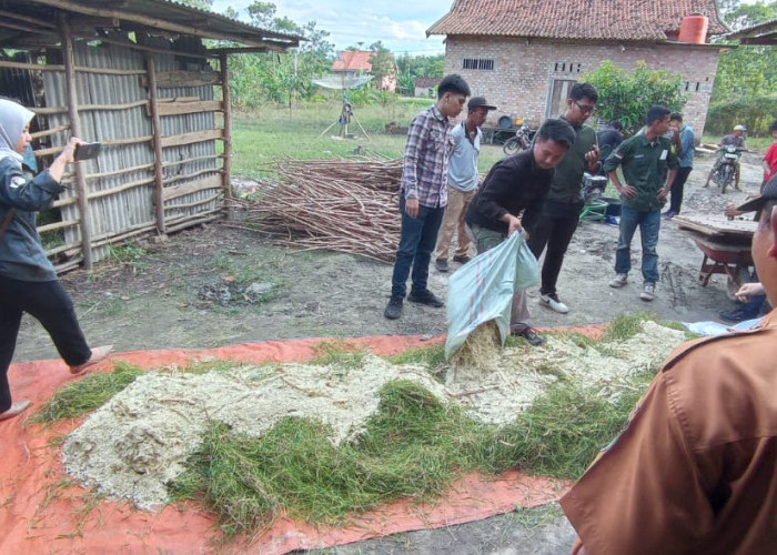 Aksi Tim Kedaireka FP Unila di Empat Kabupaten