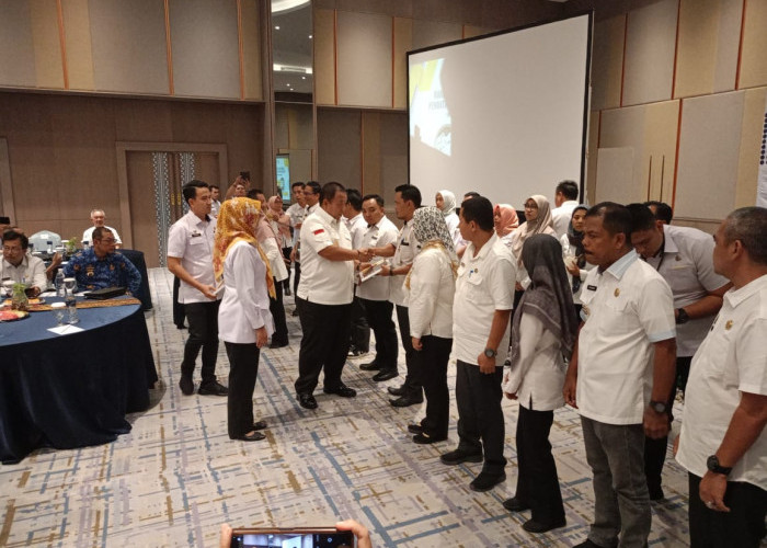 Tahun 2025, Lampung Targetkan Populasi Kerbau dan Sapi Capai Satu Juta Ekor