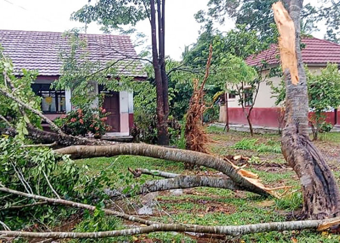 Masuk Musim Hujan, Waspada Tiga Jalur Rawan Longsor di Lampung Barat 