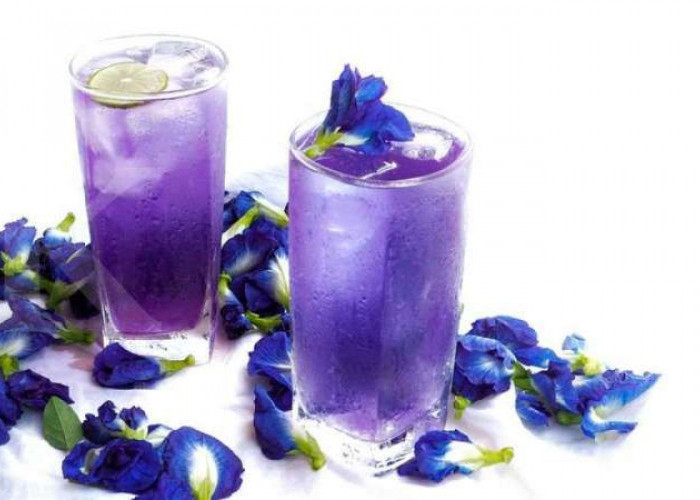 Resep Es Bunga Telang, Minuman Anti Mainstream untuk Buka Puasa