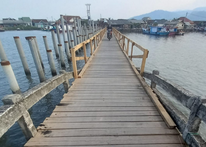 TERBENGKALAI 