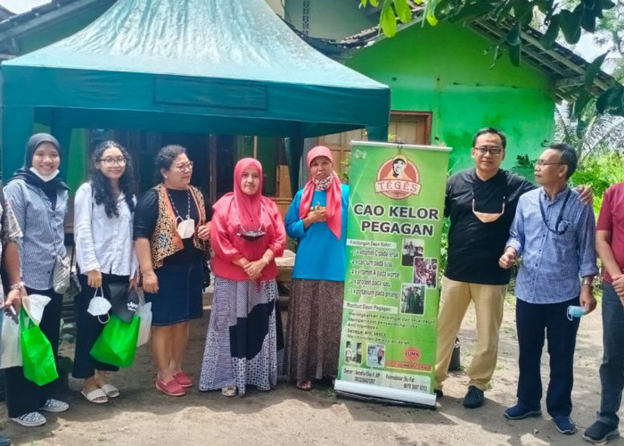 Manfaatkan KUR BRI, Pengusaha Wanita Asal Sleman Berhasil Sulap Kelor Jadi Aneka Olahan Pangan yang Digemari