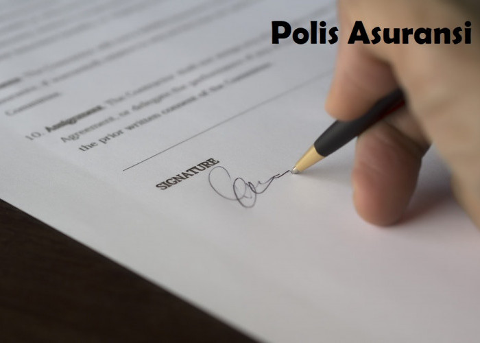 Apa Itu Polis Asuransi? Berikut Ini Penjelasan Tentang Pengertian, Fungsi, Lengkap dengan Jenisnya