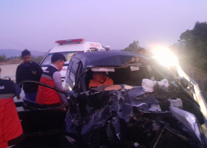 Brakk! Mobil Rombongan Sekretariat DPRD Pesisir Barat Kecelakaan, Satu Orang Tewas, Begini Kronologisnya