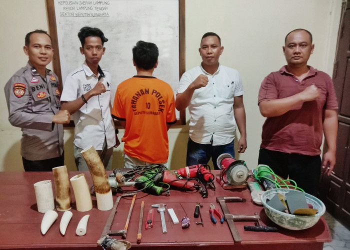 Bisnis Ilegal Pipa Gading Gajah Dibongkar, Barang Bukti Mencapai Lebih dari 4 Kg