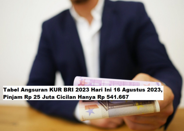 Update Tabel Angsuran KUR BRI 2023 Hari Ini 16 Agustus 2023, Ada Pinjam Rp 25 Juta Cicilan Hanya Rp 541.667