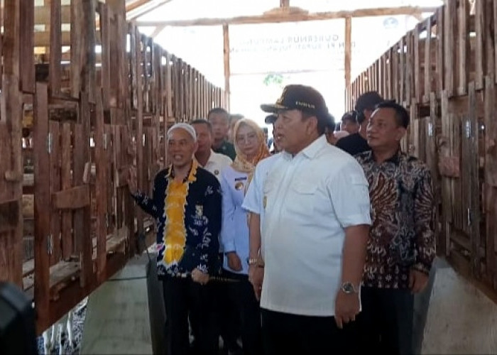 Launching Program Desa Baznas Sektor Peternakan di Tulang Bawang, Gubernur Lampung Sampaikan Harapan Ini 