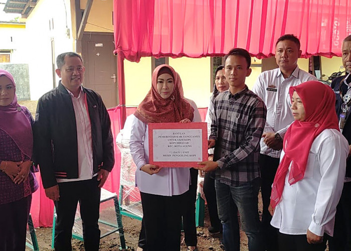 Kembangkan Sektor Unggulan UMKM, Pemkab Tanggamus Ambil Langkah Ini  