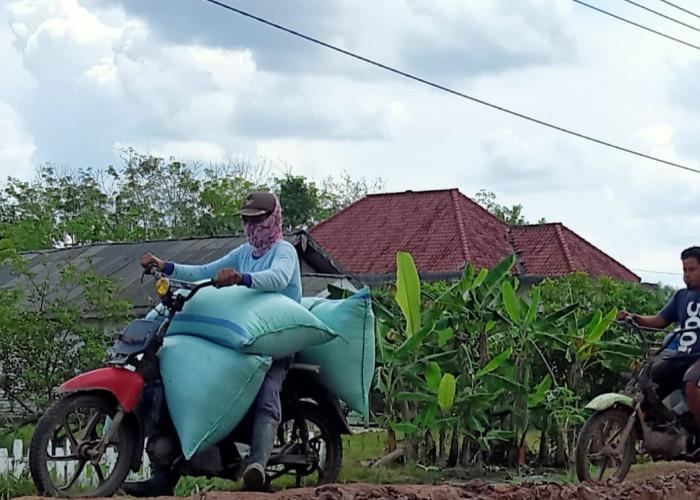 Terkait Penghapusan Piutang UMKM, Pemkab Mesuji Masih Tunggu Instruksi