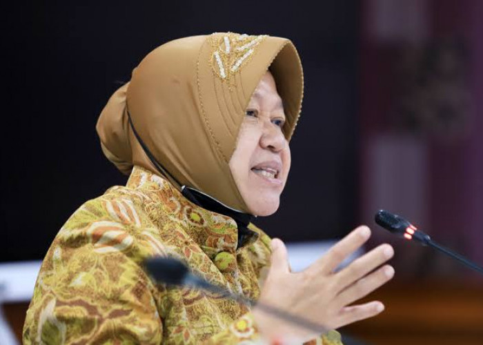 Segera Cek, Pekerja Bergaji Dibawah Rp 3,5 Juta dapat Bantuan