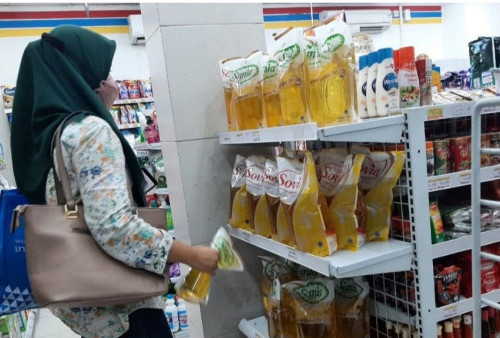 Harga Migor Curah Turun, Ini Kata Kadisperindag Lampung
