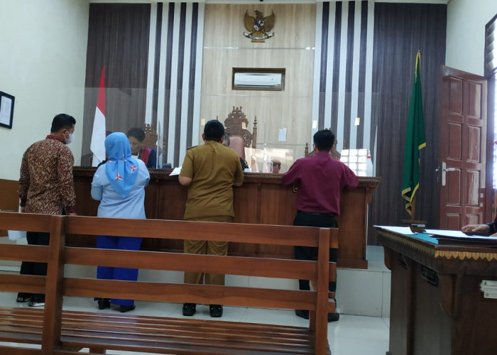 Saksi dari Wakil Ketua DPRD Lampung Tak Hadir, Pengacara DPD Demokrat Lampung Nilai Penggugat Tak Serius