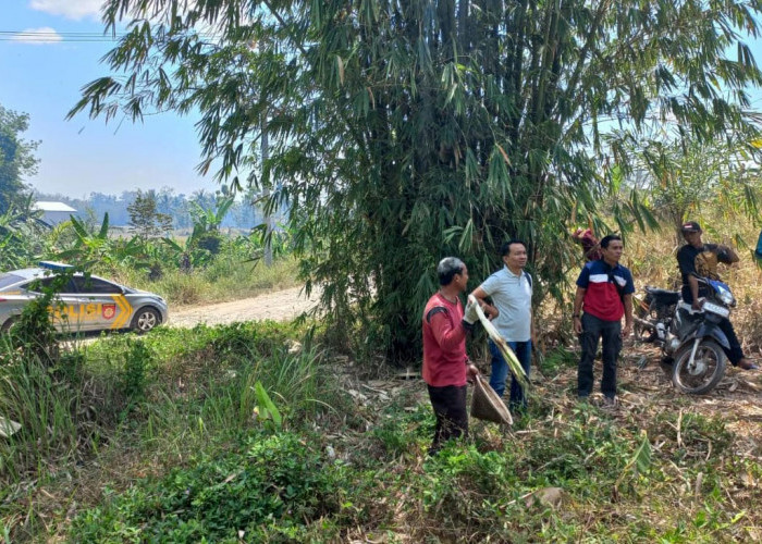 Kebakaran Lahan di Tanggamus Lampung, Petugas Gabungan Siaga Padamkan Titik Api  