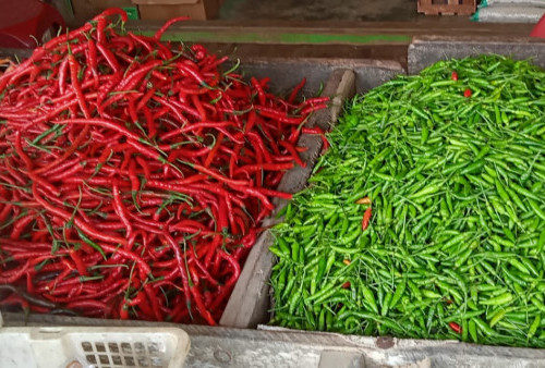 Cabe Mulai Turun Bawang Merah Masih Mahal di Mesuji