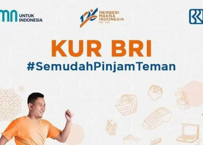 Bunga Rendah, Pinjaman KUR BRI Makin Diminati 