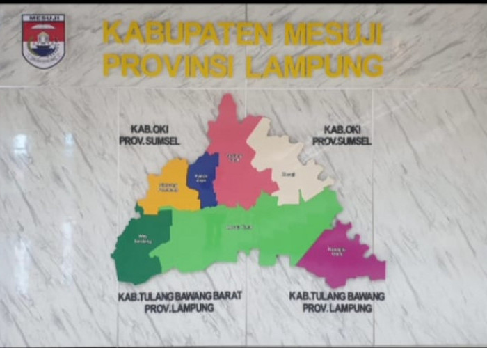 Ini Nama-nama Sekretaris Kabupaten Mesuji Dari Masa ke Masa
