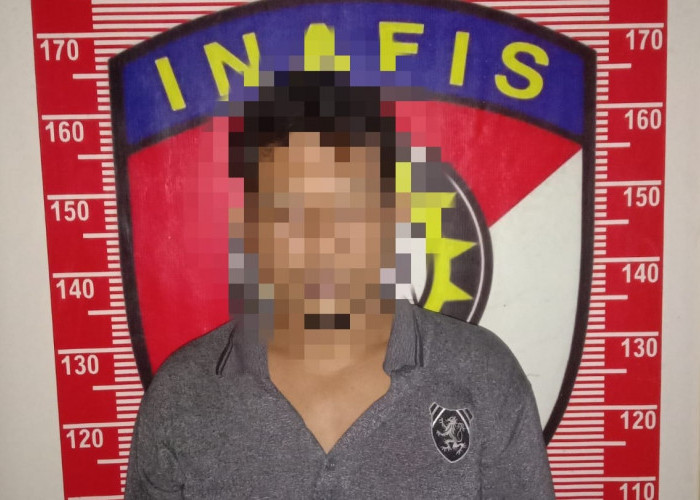 Akhirnya, Tersangka Ilegal Loging yang DPO 1 Tahun Berhasil Diamankan
