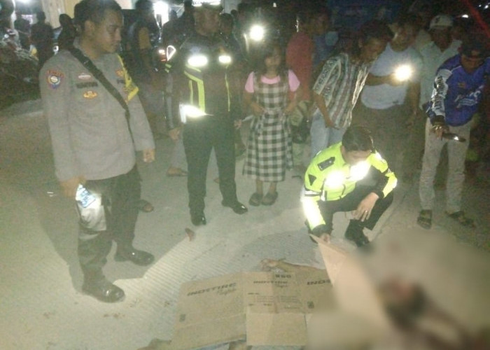 Lakalantas! Pegawai Swalayan Meninggal Dunia Setelah Adu Kambing dengan Mobil Pick Up