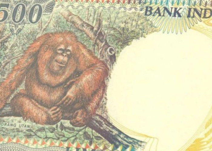 Simak, Uang Kertas Kuno di Indonesia yang Mempunyai Harga Jual yang Fantastis!