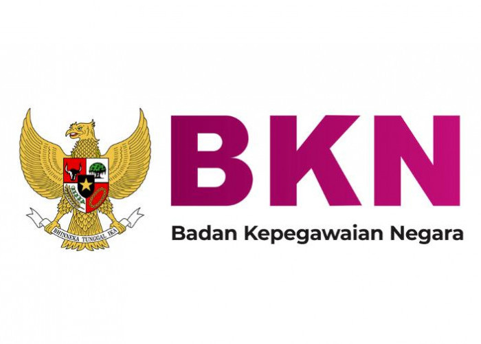Ini Cara Cek Data Honorer yang Telah Masuk Database BKN 2024
