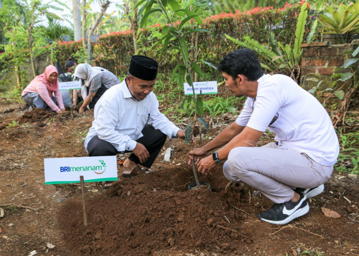 Dukung Pengurangan Emisi, BRI Menanam Proyeksikan Penyerapan Karbon Hingga 108 Ribu Ton CO2