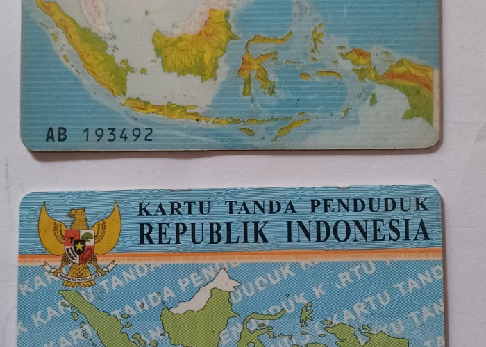 Dalam Waktu 6 Bulan, Penduduk Mesuji Alami Kenaikan Jadi 1.744 Jiwa