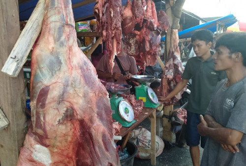 Harga Daging Sapi di Minggu ke Empat Maret Capai Rp 132.500 Per Kilogram