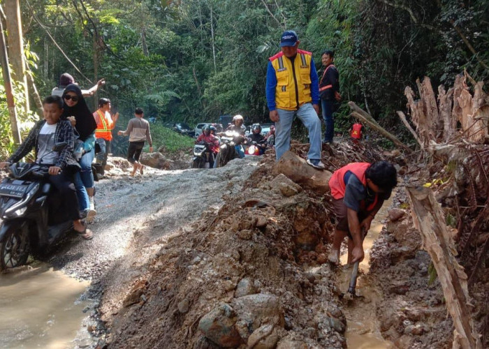 Badan Jalan Terangkat, Ini Kondisi Terkini Jalur Liwa- Krui 