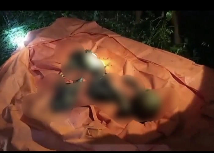 Seram! Tulang Kerangka dan Tengkorak Kepala Manusia Ditemukan Berserakan di Pinggir Kali
