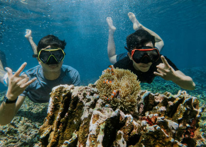 5 Marine Tourism in Lampung with Amazing Snorkeling Spots
