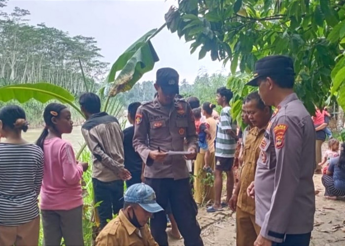 Warga Tanggamus Lampung Diserang Buaya di Sungai Semaka, Satu Luka dan Seorang IRT Diduga Hilang 