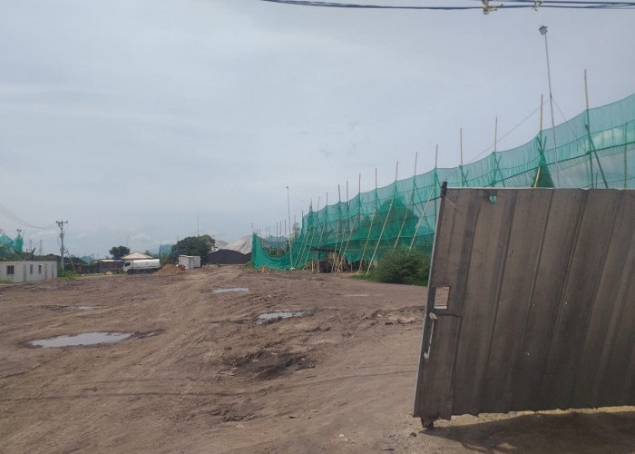 Geram Perusahaan Stockpile Menjamur di Bandar Lampung, Walhi Lapor Komnas HAM