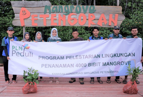 Dukung Pelestarian Kawasan Pantai, PLN Tanam 4000 Mangrove dan Bangun Fasilitas Ekowisata Mangrove
