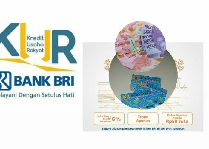 Anti Gagal! Ini Syarat Mudah Lolos Verifikasi Pinjaman Saldo Dana KUR Bank BRI