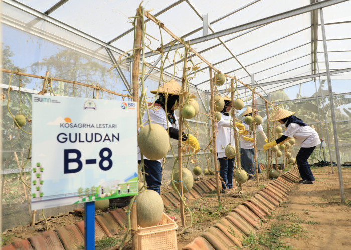 Kembangkan Urban Farming di Lahan Sempit, BRI Peduli Inspirasi Bertani di Kota (BRInita)